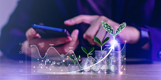 Sustainable Growth